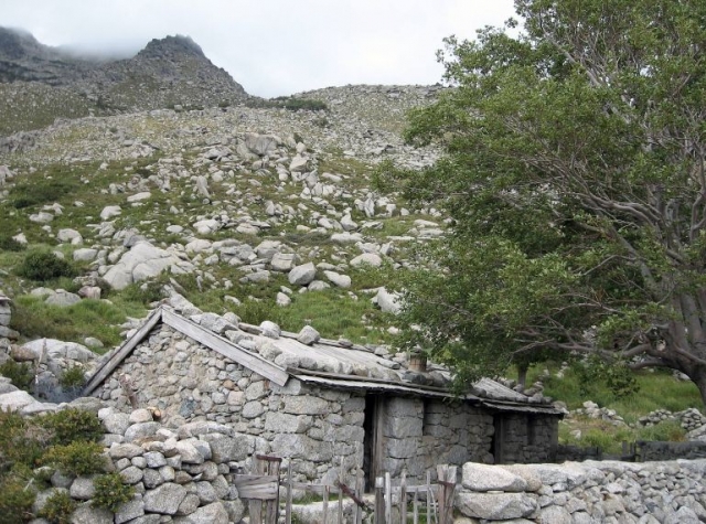 plateau d altitude en Corse